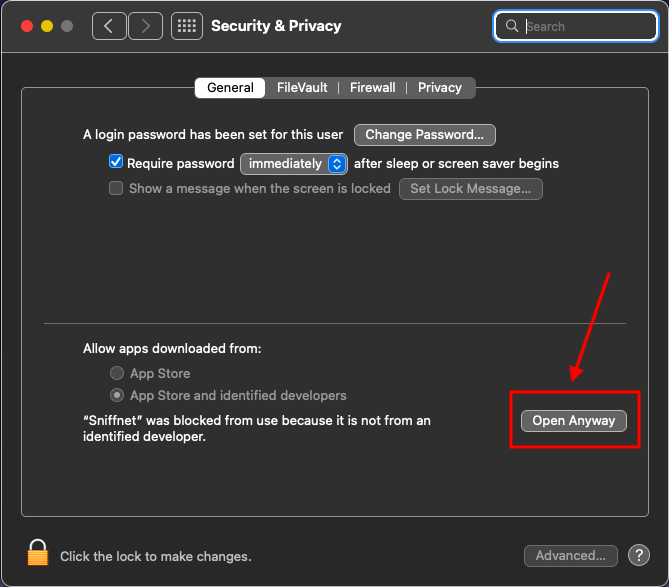 macOS Privacy and Security settings with the Open Anyway button